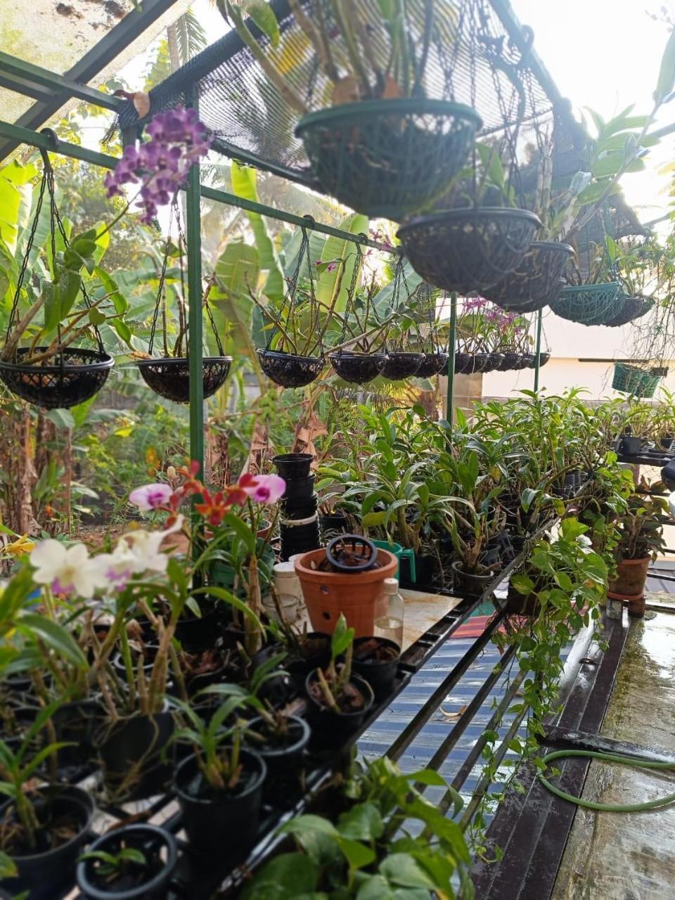 Chaithritha Ladies Homestay Thiruvananthapuram Esterno foto